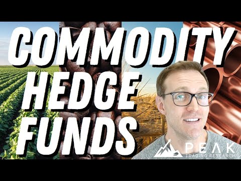 Navigating the Commodity Storm: Hedge Funds and the Power of Momentum Trading