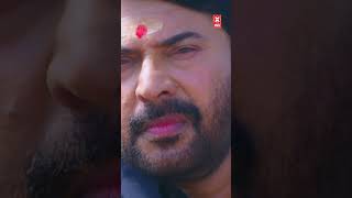Telugu Movie Action Scenes Shorts #ytshorts #telugu #movieclip #telugumoviescene