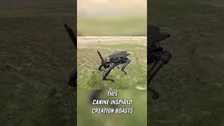 The Future of Robotic Innovation  Meet the Robot Dog Armed with a Grenade Launcher