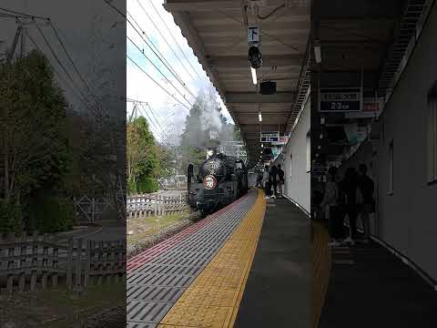 SL大樹　茨城　#train #sl大樹