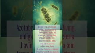 #neet2025 #neet #neetsolutions #neetexam #papercode45 #biology #q113#solution#neetug #neetmotivation