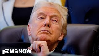 UAE tied-firm signed $500M deal with Trump crypto four days before president took office: WSJ