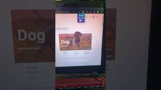 Funny Browser Extension to try out😂 #prank #shorterisbetter