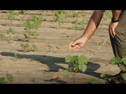 Swath Estimation