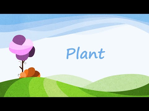 Level Two: Lesson Seven - Plant [Simplified Chinese]
