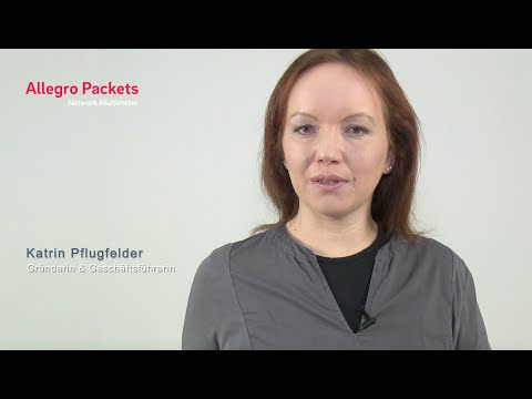 Anwendungsbeispiele für das Allegro Network Multimeter
