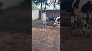 #waqarbhinder#sadsongs #howtogetviewsonyoutubewithzerosubscribers #punjabisong