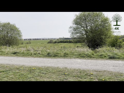 Across the open fields under a wide sky