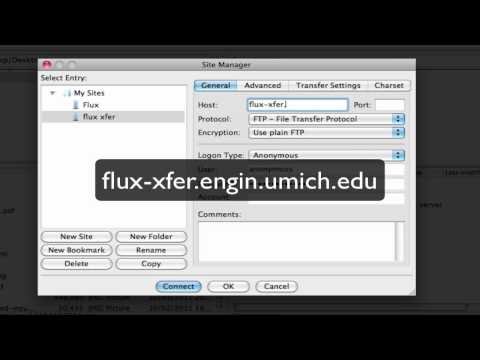 Transfer Host FileZilla Example