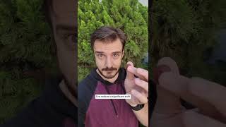 How To Boost Your Focus (The Only Focus Supplements You Need) #shorts #focusboost