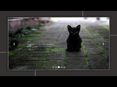 Image slider with animation using HTML CSS and JavaScript