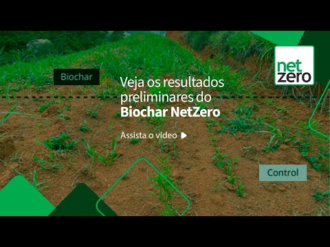 Veja os Resultados preliminares do Biochar NetZero