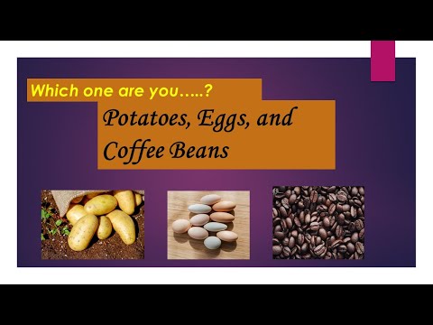 Potatoes, Egg & Coffee beans | Which one are you...? |