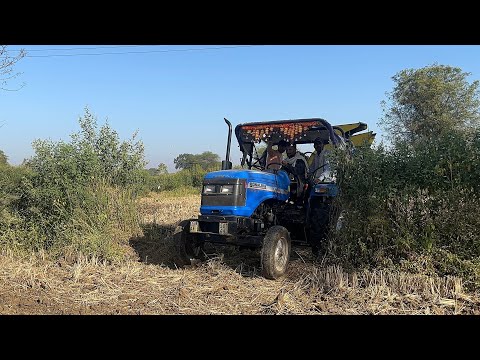 Surjeet thresher machine and Sonalika tractor in paddy,s 