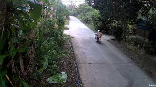 IP Camera quality TEST