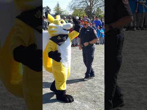 Ember the FireSmart  mascot throwing the opening pitch at Central Saanich Little League. #baseball