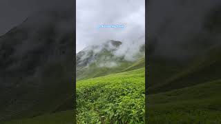 Trek to Himalayas #himalayanvibes #purenaturesound #untouchedhimalaya #rawnature #mountainwhisper