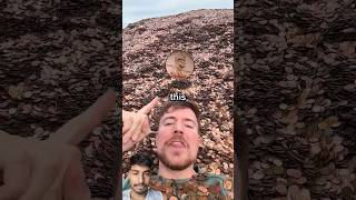 1 Subscriber = 1 Penny #mrbeast #beast #mrbeastshorts #shortvideo #beastmode