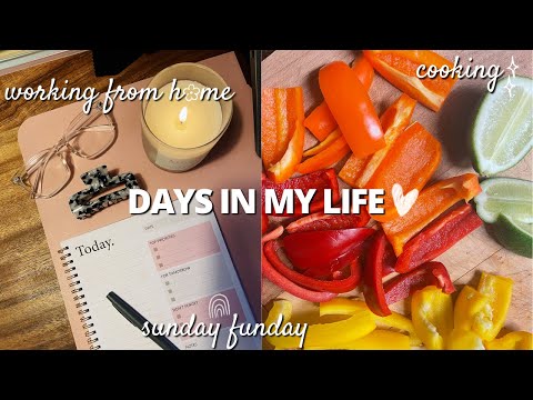 VLOG: Productive Days in My Life | 9-5 WFH, Sunday Funday, What I Cook, Errands | Productive Vlog