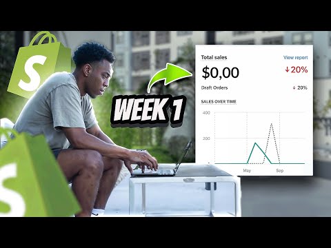Learn Dropshipping With Me ($0 - $100,000/m Journey)
