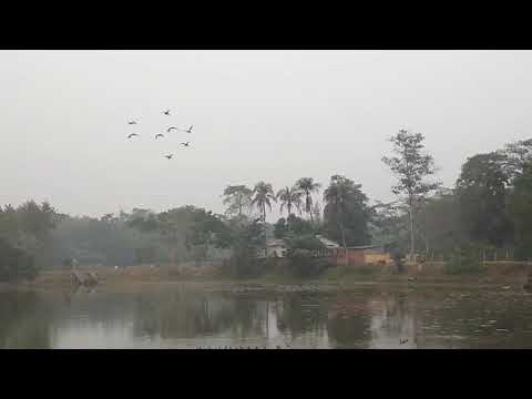 আমাৰ গাঁৱৰ বৰপুখুৰী পাৰৰ পৰা।