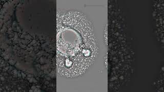 🦠 You’re More Bacteria Than Human?! This Will Blow Your Mind! 🧬