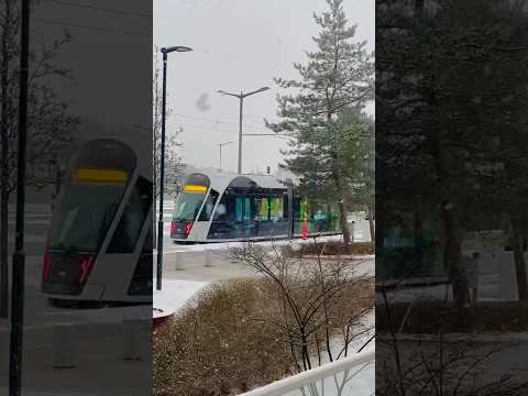 Let it snow! ❄️ #shorts #luxembourg #winter #snowfallmagic #ytshorts