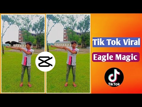 ঈগল মেজিক ভিডিও এডিটিং | Tik Tok New trend video editing | TikTok Eagle video editing | Techno Raju