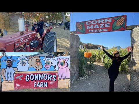 BEST PUMPKIN PATCH EVER!!! | Zipline, Trampoline, Corn Maze |