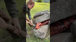 Rescuing a Python Gone Wrong! #wildlife #snake #rescue