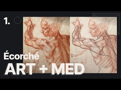 Écorché art and medicine meets in a sculpture | by Anatomy For Sculptors