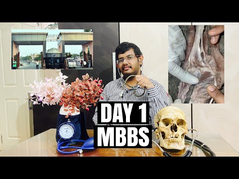 What happens in 1st Day of Medical School ? Lectures, Practical, Dissection, Freshers Party & more