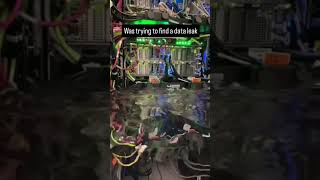 Found the Data Leak… Right Next to the Server Crash 💧🔥😂