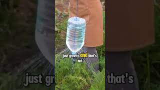 Genius or crazy ?! This $0.50 Bottle Hack Does 4 Things in Your Garden #farming #gardenhacks