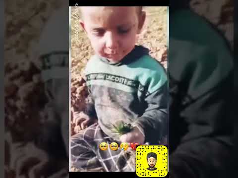 Hungry Syrian boy want a piece of bread..