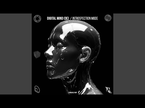 Introspection Mode (Original Mix)