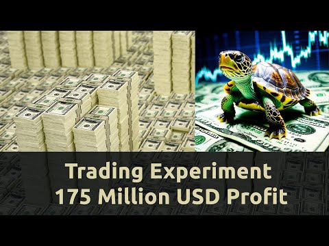 Trading Turtle Experiment That End Up in 175 Million USD Profit - FULL SOURCE CODE