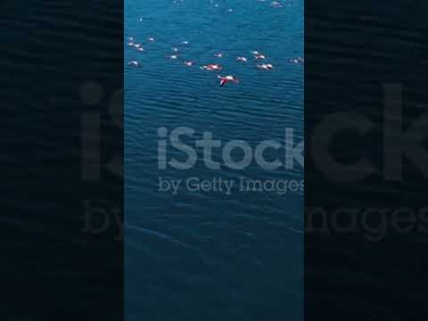 mizanur Rahman #viral #viral_video #viral #v