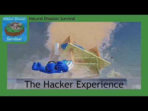 NDS Hacker Experience