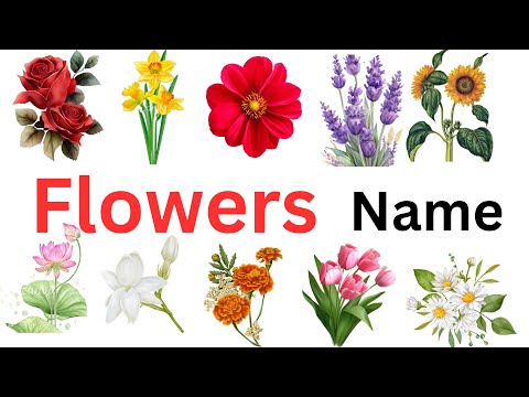 flowers, flowers name, flowers name with pictures, flowers name with spelling, flowers#flowers #