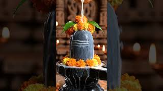 Madhev ke kirpa app sab par bane rahe#mahadev #bhakti