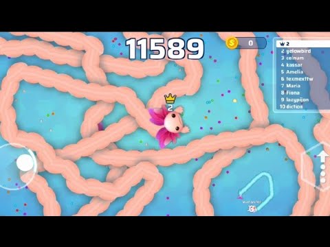 Squeezing The Biggest Snake In The Corner / Snake.io ( iOS . android play )