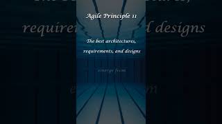 Agile Manifesto Principle 11/12 #trendingshorts #agile #shorts #education #agilemanifesto #trending