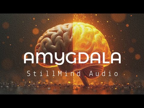 Structured Neuro Acoustic Protocol: 15 Minute Alpha Entrainment for Autonomic Regulation
