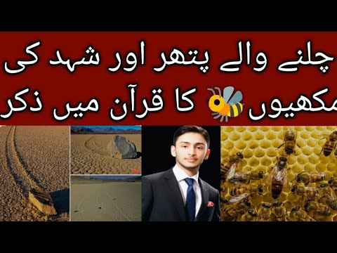 چلنے والے پتھر اور شہد کی مکھیوں کا قران میں ذکر|| moving stones||Islam and Science by Abdullah