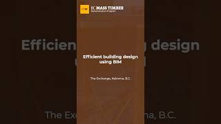 Efficient building design using BIM