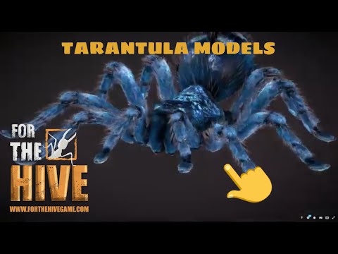 For The Hive Game: Pink Toe Tarantula Models!