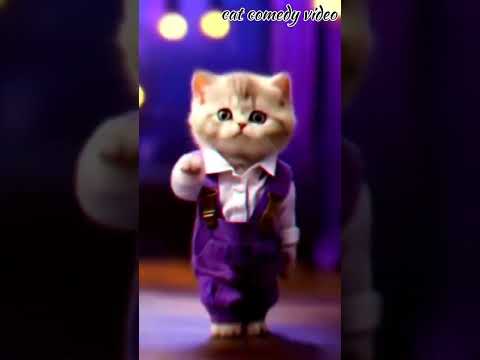 #trending #shots#cat#comedy #videoshort #?