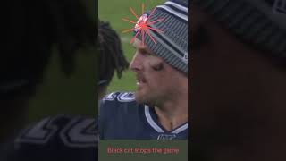 s#omletarcadebgmitournament  #Black cat stops the game