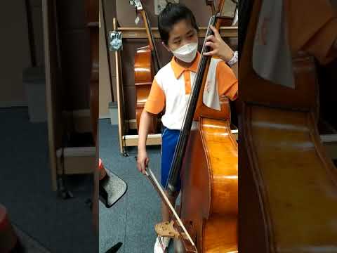 Double bass " Ballard I "